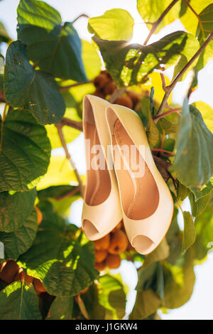 Hochzeit Schuhe einer Braut in den Blättern des Baumes kiwi Stockfoto