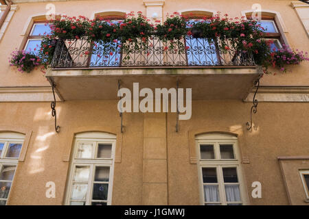 Beige mit weißen Zierleisten Wohnung Balkon mit roten Geranien, Ohrid, Mazedonien, Osteuropa eingerichtet. Stockfoto