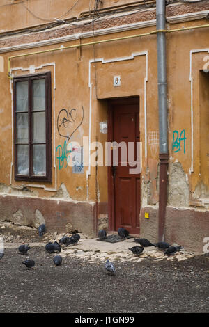 Alte Gebäude Fassade mit zerbröckelnden Beton und Graffiti an der Wand und Tauben - Columbidae vor der Eingangstür, Brasov, Rumänien Stockfoto