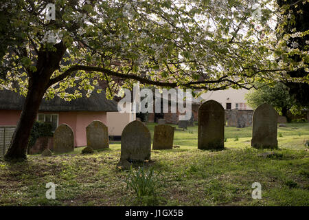 Thaxted Pfarrkirche St. Johannes und Friedhof, Essex, England, UK. April 2017 fotografiert an einem Frühlingstag. Wikipeadia unterhalb der Pfarrkirche Kirche St. Jo Stockfoto