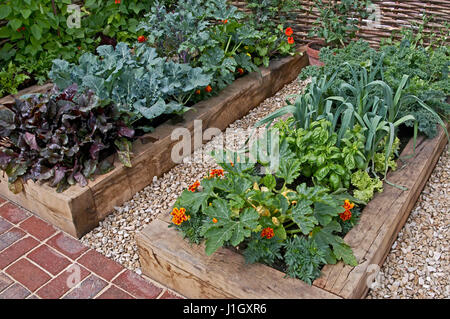 Zuteilung Gemüsegarten mit Hochbeeten in einem städtischen Garten Stockfoto