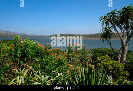 Blick über Gärten auf Breede River, mit Sand, western Cape, Südafrika Stockfoto