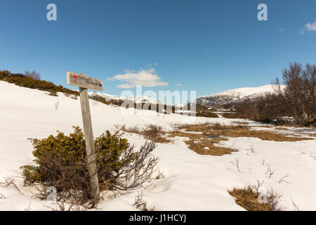 Melden Sie für Touristen und Skifahrer, zeigt den Weg zum Reinheim in den Dovre-Nationalpark, Dovre Bergen in Norwegen Stockfoto