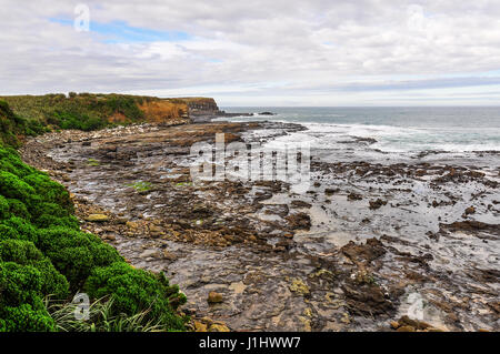 Petrified Forest in der Curio Bay, die Southern Scenic Route, Neuseeland Stockfoto