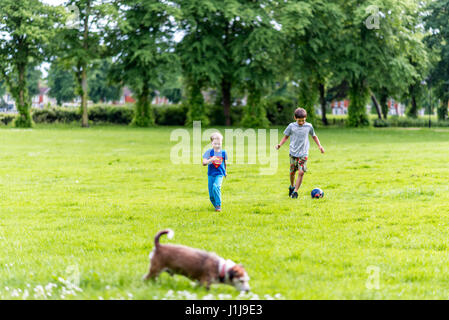 Tag-Ansicht zwei jungen und Hund spielen Fußball Sommer Park. Stockfoto