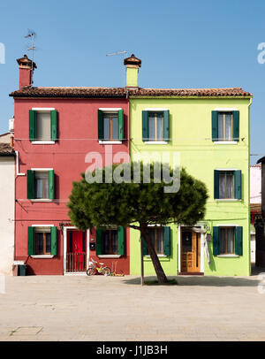 Bunte Häuser mit einer Tanne vorne auf der Insel Burano, Venedig Italien Stockfoto