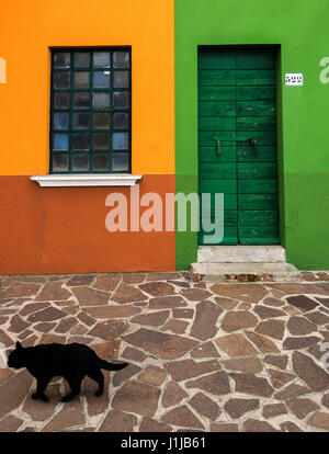 Bunte Wände eines Hauses mit Tür- und Fenster- und eine Katze zu Fuß vorne auf der Insel Burano, Venedig, Italien Stockfoto