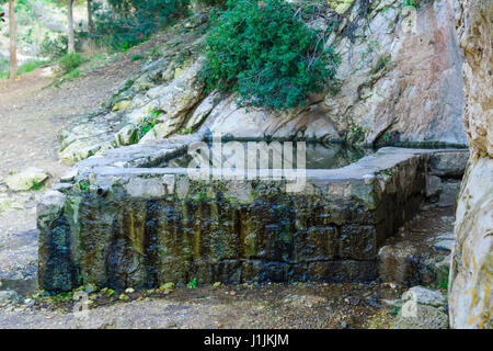 Blick aus einer Feder und einem Pool (Ein Meshotetim, Entdecker Frühling) entlang Wadi Siah. Dieses grüne Tal ist ein Zufluchtsort von der Hektik der Stadt, in Haifa, ich Stockfoto