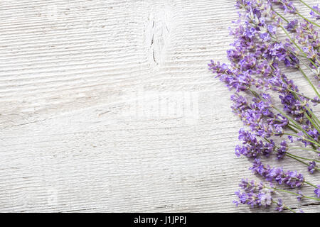 Zweige von Lavendel auf hölzernen Hintergrund Stockfoto