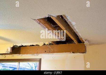 Große Verwirrung aus einer Untersicht Demo während einer home Renovierung und Umgestaltung in ein Wohnhaus. Stockfoto