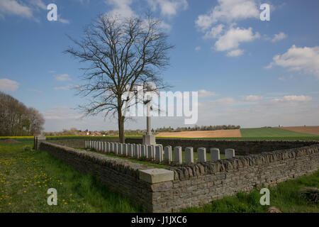 Gauche Holz CWGC Friedhof, Frankreich Stockfoto