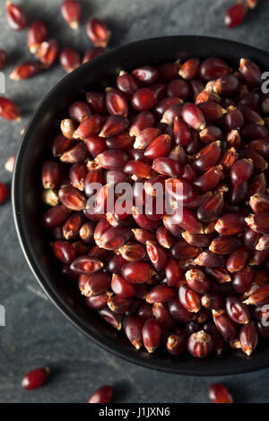 Rohe Bio Rubin Rot Popcorn in eine Schüssel geben Stockfoto