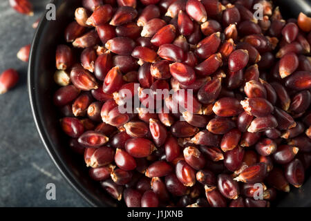 Rohe Bio Rubin Rot Popcorn in eine Schüssel geben Stockfoto