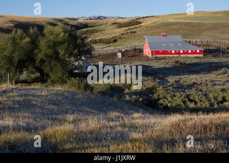 Am frühen Morgen Licht wirft ein Licht auf einem roten Scheune. Cottonwood Bäumen, Salbei Pinsel und einem Creek vervollständigen dieses Montana prairie Szene. Stockfoto