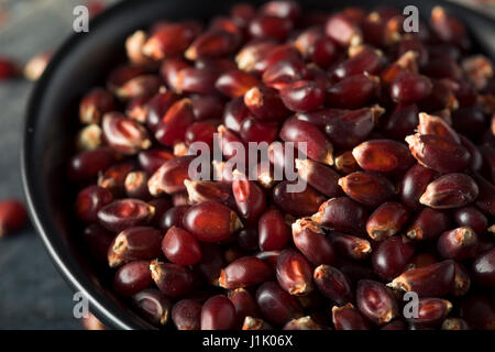 Rohe Bio Rubin Rot Popcorn in eine Schüssel geben Stockfoto