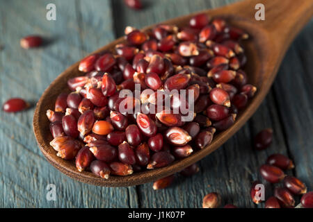 Rohe Bio Rubin Rot Popcorn in eine Schüssel geben Stockfoto