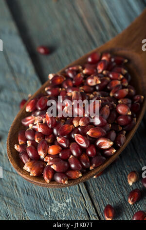 Rohe Bio Rubin Rot Popcorn in eine Schüssel geben Stockfoto