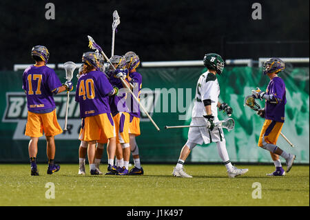 Vestal, New York, USA. 19. April 2017. Albany Doggen Spieler feiern ein Tor gegen die Binghamton Bearcats im zweiten Quartal des Spiels auf Mittwoch, 19. April 2017 bei den Bearcats Sports Complex in Vestal, New York. Rich Barnes/Cal Sport Media/Alamy Live-Nachrichten Stockfoto