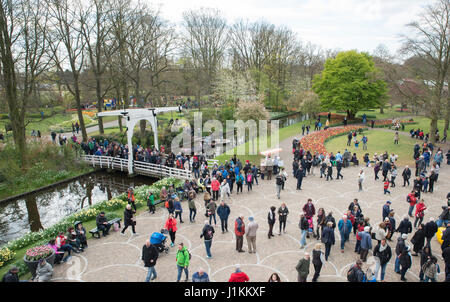 Keukenhof, Lisse, Niederlande, 19. April 2017 - Menschen genießen den Park im Keukenhof am 19. April in Lisse, dieser Park ist eine Attraktion für Menschen alle Ov Stockfoto