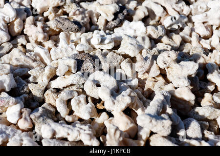 Grober Sand von Korallen am Strand von Galapagos Stockfoto