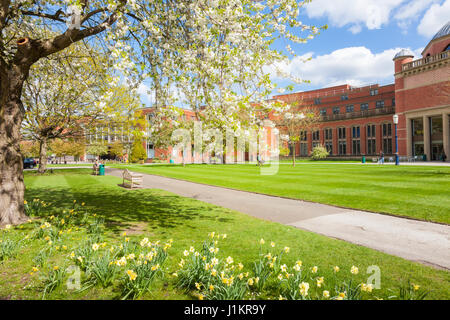 Vista nach Ansicht des Gerichts des Kanzlers, University of Birmingham, UK Stockfoto