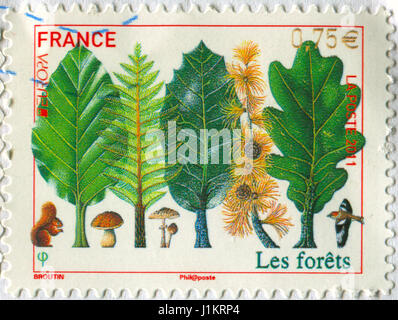GOMEL, WEIßRUSSLAND, 20. APRIL 2017. Briefmarke gedruckt in Frankreich zeigt Bild der Wälder, circa 2000. Stockfoto