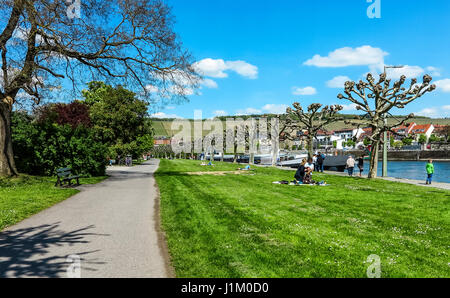 Malerische Aussicht auf Würzburg im Frühjahr, Bayern, Deutschland Stockfoto
