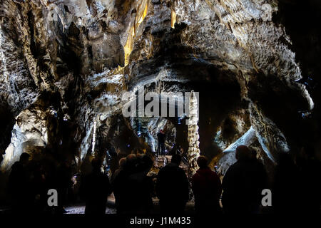 Touristen, die gerne an großen Stalagmiten während der Führung in den Höhlen von Han-Sur-Lesse / Grottes de Han, belgische Ardennen, Belgien Stockfoto