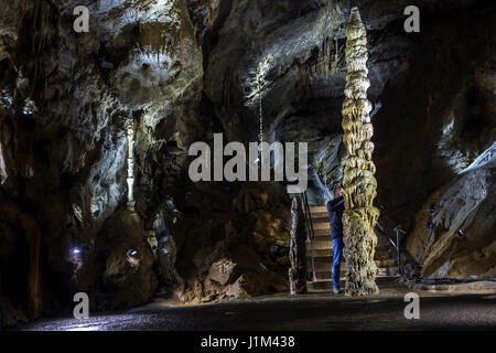 Touristen auf der Suche bei großen Stalagmiten in den Höhlen von Han-Sur-Lesse / Grottes de Han, belgische Ardennen, Belgien Stockfoto