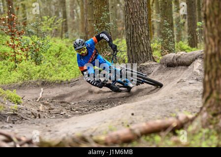 Mountainbiken in Surrey Hills - Aktion erschossen Stockfoto