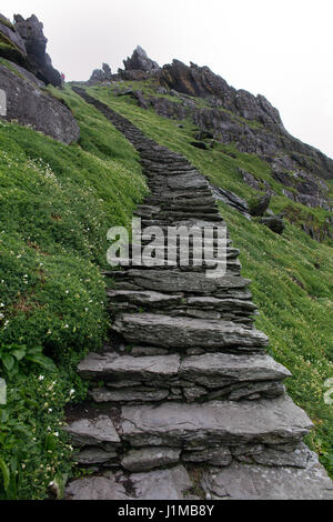 Der steile Platte Weg auf Skellig Michael, County Kerry. Die Insel war ein Kloster vor 1500 Jahren und ist heute ein UNESCO-Weltkulturerbe Stockfoto