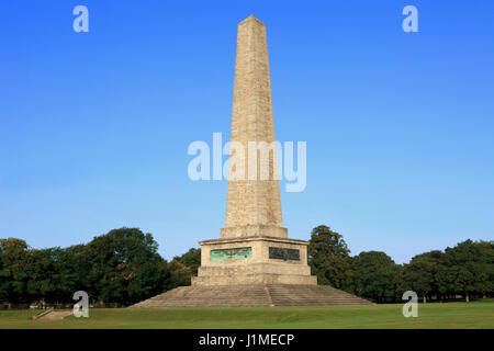 Das Wellington Monument im Phoenix Park in Dublin, Irland Stockfoto