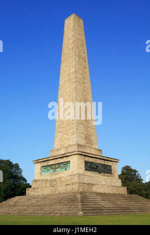 Das Wellington Monument im Phoenix Park in Dublin, Irland Stockfoto