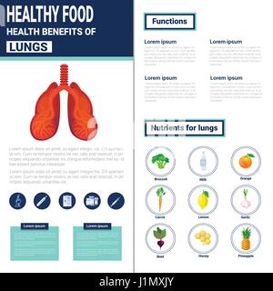 Gesunde Ernährung-Infografiken-Produkte mit Vitaminen und Mineralien, Gesundheit-Ernährung-Lifestyle-Konzept Stock Vektor