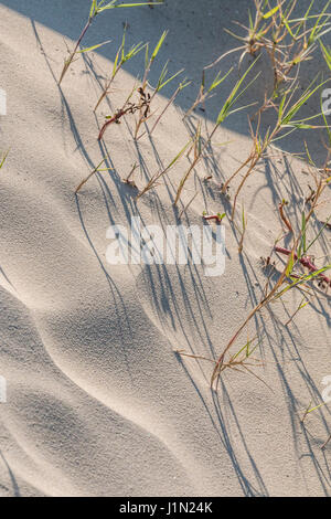 Muster im Schatten und Sand geblasen durch Wind auf Galveston East Beach. Stockfoto