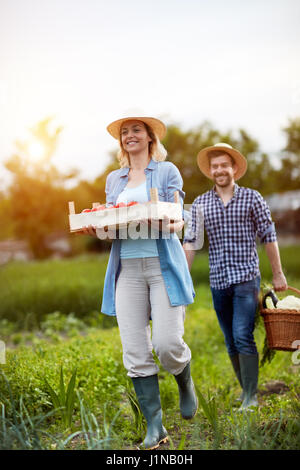 Landwirte, die Abhaltung von Korb und Kiste mit Gemüse vom Feld Stockfoto