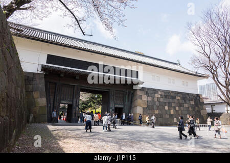 Kirschblüte, Tayasu Tor, Kitanomaru-Park, Kaiserpalast Tokio, Chiyoda-Ku, Tokyo, Japan Stockfoto