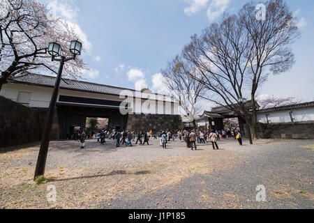 Kirschblüte, Tayasu Tor, Kitanomaru-Park, Kaiserpalast Tokio, Chiyoda-Ku, Tokyo, Japan Stockfoto