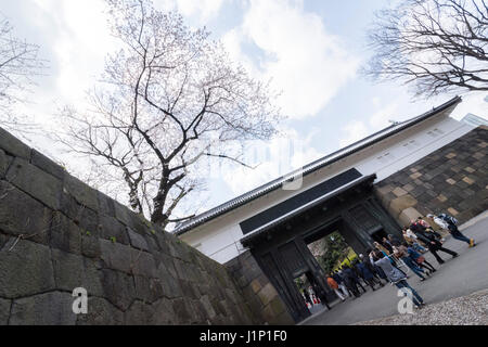 Kirschblüte, Tayasu Tor, Kitanomaru-Park, Kaiserpalast Tokio, Chiyoda-Ku, Tokyo, Japan Stockfoto