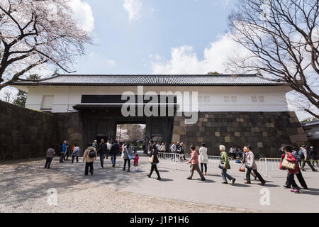 Kirschblüte, Tayasu Tor, Kitanomaru-Park, Kaiserpalast Tokio, Chiyoda-Ku, Tokyo, Japan Stockfoto