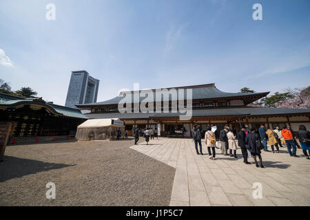 Kirschblüte, Yasukuni-Schrein, Chiyoda-Ku, Tokyo, Japan Stockfoto