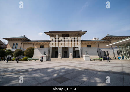 Kirschblüte, Yasukuni-Schrein, Chiyoda-Ku, Tokyo, Japan Stockfoto