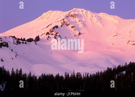 Mount Shasta aus Bunny flach, Shasta-Dreiheit National Forest, Kalifornien Stockfoto