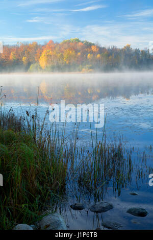 Barsch See entlang Barsch See, Chequamegon-Nicolet National Forest, Wisconsin Stockfoto