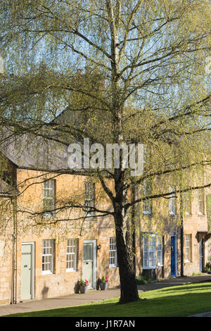 Reihe von angeschlossenen Hütten und eine Silber-Birke in der Frühlingssonne. Chipping Campden, Cotswolds, Gloucestershire, England Stockfoto