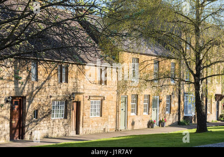 Reihe von angeschlossenen Hütten und eine Silber-Birke in der Frühlingssonne. Chipping Campden, Cotswolds, Gloucestershire, England Stockfoto