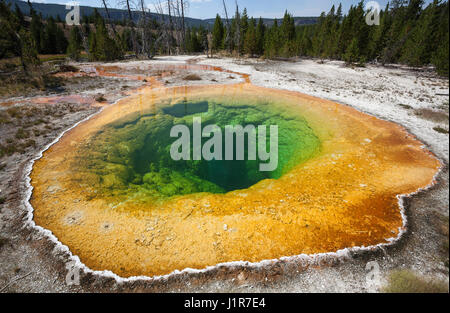 Morning Glory Pool, Upper Geyser Basin, Yellowstone-Nationalpark, Wyoming, USA Stockfoto