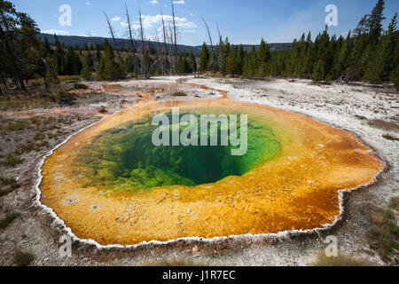 Morning Glory Pool, Upper Geyser Basin, Yellowstone-Nationalpark, Wyoming, USA Stockfoto