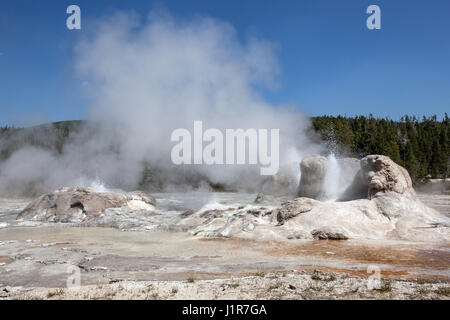 Grotto Geysir, Upper Geyser Basin, Yellowstone-Nationalpark, Wyoming, USA Stockfoto