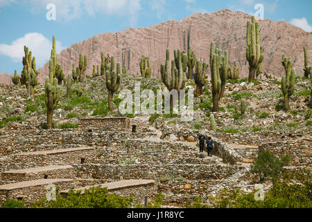 Pucará de Ticara, Humahuaca Schlucht, Provinz Jujuy, Argentinien Stockfoto